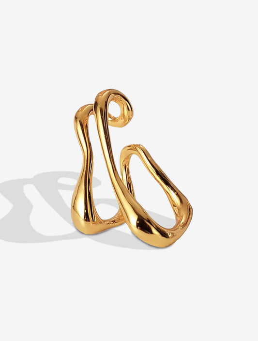 Gold Clip-On Earring | Clip-On Earring | RRule